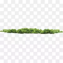 花坛椰子板-带状森林-空若网 花坛椰子板-带状森林-空若网