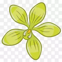 植物叶片-空若网 植物叶片-空若网