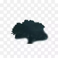 Ê÷Ìì-¿ÕÈôÍø Ê÷Ìì-¿ÕÈôÍø