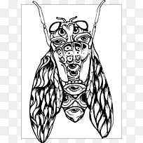 �����������������-������