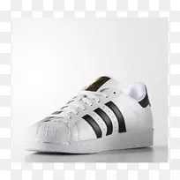 �Ϳ���Ѱ��ϴ�˹���������˶�Ь���ϴ�˹ԭ��-���ϴ�˹-������