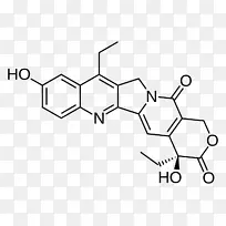 拓扑替康喜树碱癌症化学-化学-空若网 拓扑替康喜树碱癌症化学-化学-空若网