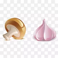 水果载体植物大蒜-空若网 水果载体植物大蒜-空若网