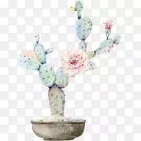 水彩画仙人掌科水彩画水彩花绿色植物仙人掌-空若网 水彩画仙人掌科水彩画水彩花绿色植物仙人掌-空若网