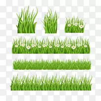 草坪剪贴画-草-空若网 草坪剪贴画-草-空若网