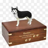 澳洲牧羊犬,西伯利亚哈士奇-哈士奇犬-空若网 澳洲牧羊犬,西伯利亚哈士奇-哈士奇犬-空若网