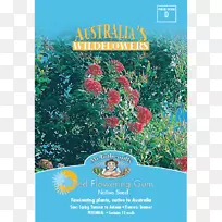 种子树,草本植物,花卉树-空若网 种子树,草本植物,花卉树-空若网