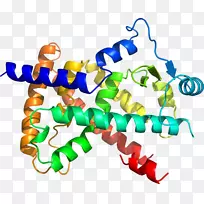 �ߵ������������-������