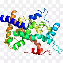 �ߵ������������-������