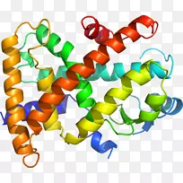 人体珠宝线剪贴画线-空若网 人体珠宝线剪贴画线-空若网