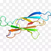 �ߵ������-��-������