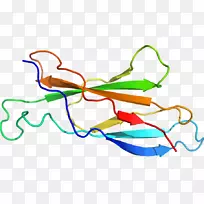 �ߵ������-��-������