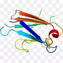 ����ƽ����Ƶ��������-������