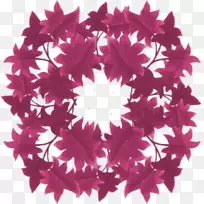 �ۺ�ɫm�Գ���-������