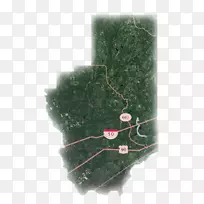 Ê÷-Ê÷-¿ÕÈôÍø Ê÷-Ê÷-¿ÕÈôÍø