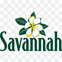 萨凡纳大道奥布里花卉设计平面设计-空若网 萨凡纳大道奥布里花卉设计平面设计-空若网