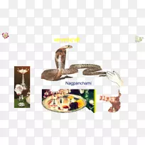 爬行动物品牌字体-昆达利-空若网 爬行动物品牌字体-昆达利-空若网