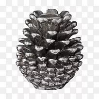 材料制品枝形吊灯-空若网 材料制品枝形吊灯-空若网