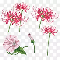 花卉设计切花植物茎剪艺术-空若网 花卉设计切花植物茎剪艺术-空若网