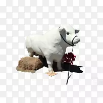 羊,牛,毛绒动物,可爱的玩具,鼻子-羊-空若网 羊,牛,毛绒动物,可爱的玩具,鼻子-羊-空若网