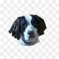 犬种体育团体猎犬鼻子犬-空若网 犬种体育团体猎犬鼻子犬-空若网