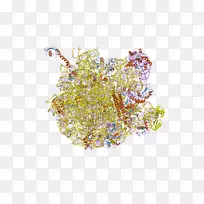 �����鱦��-������