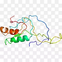 �ߵ������������-������