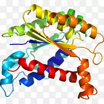 生物线动物剪贴画线-空若网 生物线动物剪贴画线-空若网