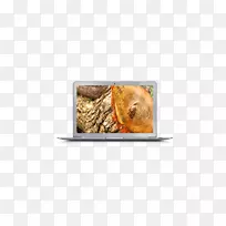 电视摄影.手风琴-空若网 电视摄影.手风琴-空若网