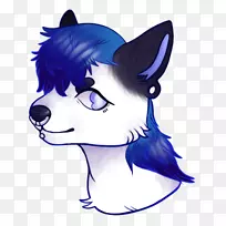 胡须,小猫,狗,猫鼻子-小猫-空若网 胡须,小猫,狗,猫鼻子-小猫-空若网