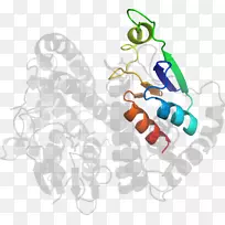 手指鞋夹艺术设计-空若网 手指鞋夹艺术设计-空若网