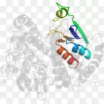 ʥ��װ�μ�����-ʥ����-������