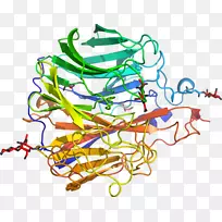 线点剪贴画-线-空若网 线点剪贴画-线-空若网