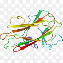 直线点植物茎夹艺术线-空若网 直线点植物茎夹艺术线-空若网