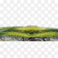 海报-熟藤草-空若网 海报-熟藤草-空若网