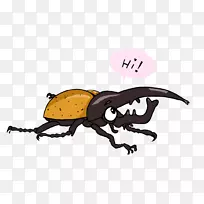 大力神甲虫绘图-甲虫-空若网 大力神甲虫绘图-甲虫-空若网