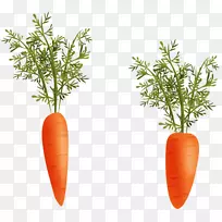 天然食品花盆草本植物本地食品-山核桃-空若网 天然食品花盆草本植物本地食品-山核桃-空若网