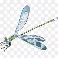 À¥³æ¼ôÌù»òßòÑ-¿ÕÈôÍø À¥³æ¼ôÌù»òßòÑ-¿ÕÈôÍø