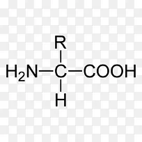脂肪酸饱和脂肪氨基酸分子氨基酸-空若网 脂肪酸饱和脂肪氨基酸分子氨基酸-空若网
