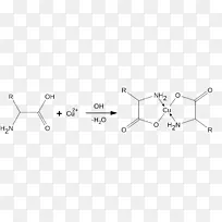 叉白角点氨基酸-空若网 叉白角点氨基酸-空若网