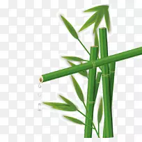 �ȴ�ľ����-����-������