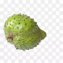 �մ�ˮ��ƻ��ˮ����.ƻ����Ӱ��-������֦-������