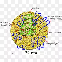 线点树字体线-空若网 线点树字体线-空若网