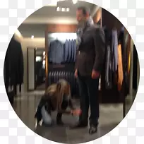 犬种鼻子地板狗-空若网 犬种鼻子地板狗-空若网