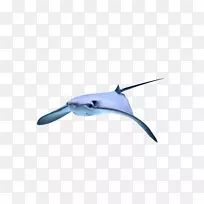 鱼-鱼-空若网 鱼-鱼-空若网