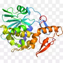 生物线动物剪贴画线-空若网 生物线动物剪贴画线-空若网