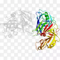 平面设计树剪贴画设计-空若网 平面设计树剪贴画设计-空若网