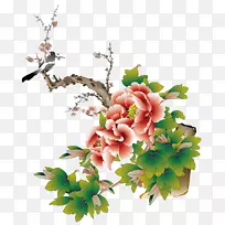 洛阳牡丹花-空若网 洛阳牡丹花-空若网