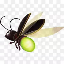 �����������������-����-������