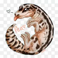 陆生动物野生动物食肉豹壁虎-空若网 陆生动物野生动物食肉豹壁虎-空若网